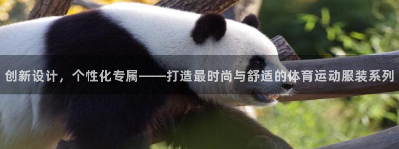 三亿体育网页版