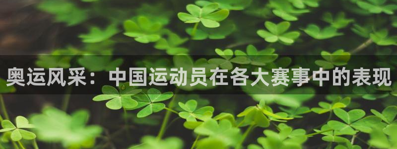 三亿体育网页版