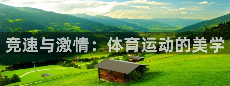 三亿体育登录