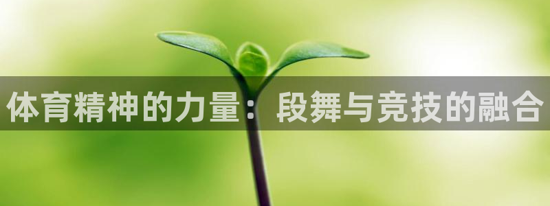 三亿体育网