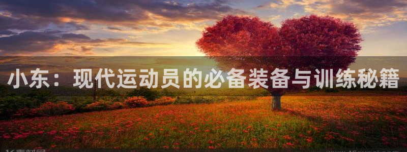 三亿体育网页版