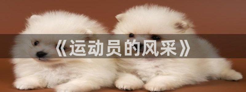 三亿体育登录