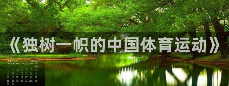 三亿体育：《独树一帜的中国体育运动》