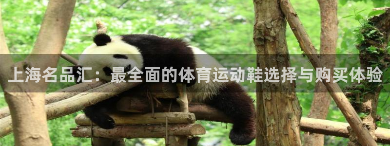 三亿体育网：上海名品汇：最全面的体育运动鞋选择与购买体验