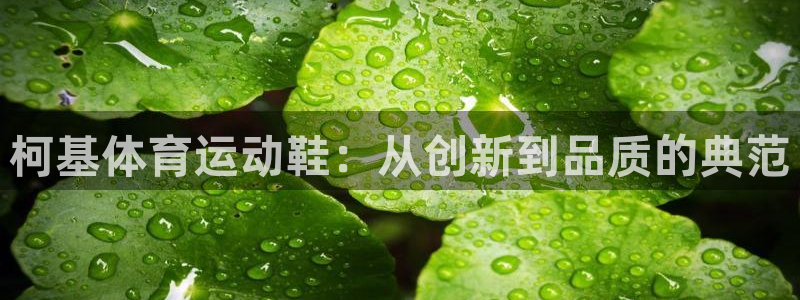 三亿体育网：柯基体育运动鞋：从创新到品质的典范