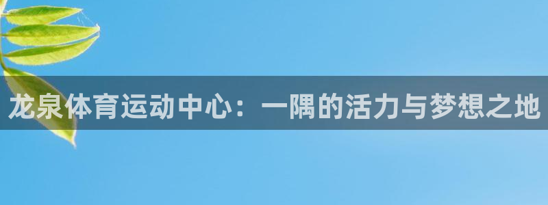 三亿体育网：龙泉体育运动中心：一隅的活力与梦想之地