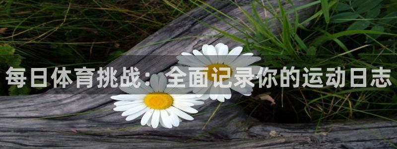 三亿体育网：每日体育挑战：全面记录你的运动日志